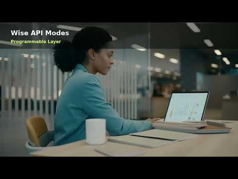 Wise API for Automated Payments