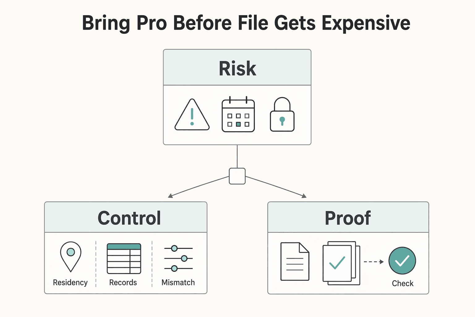 Diagram showing Bring in a pro before the file gets expensive for When to Use the IRS Taxpayer Advocate Service.